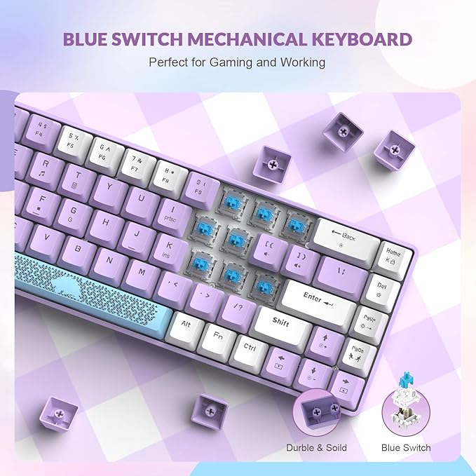 ZIYOU LANG RK-T8 Wired 65% Mechanical Gaming Keyboard with RGB LED Backlit Anti-ghosting TKL Mini 68 Key Custom Coiled C to A Cable Tactile Blue Switch for PS4 PS5 Xbox PC Mac Gamer(Lavender)
