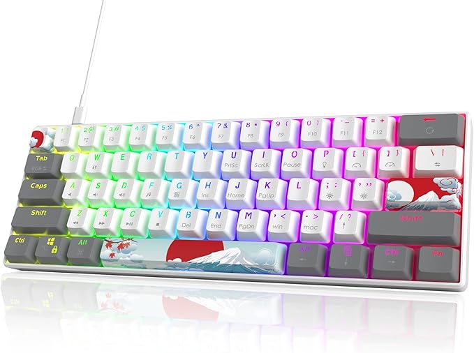 Owpkeenthy RGB Mechanical Keyboard 60 Percent Red Switches, Ultra-Compact Mini Wired Gaming Keybaord with Backlit PBT Dye-Sub Keycaps for Win/Mac/PC (White/Red Switch)