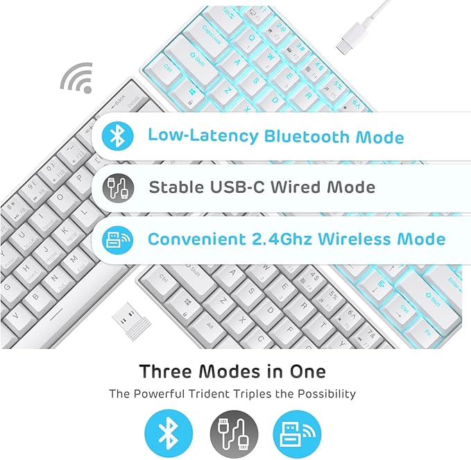 RK ROYAL KLUDGE RK61 Wireless 60% Triple Mode BT5.0/2.4G/USB-C Mechanical Keyboard, 61 Keys Wireless Mechanical Keyboard, Compact Gaming Keyboard with Software (Hot Swappable Red Switch, White)
