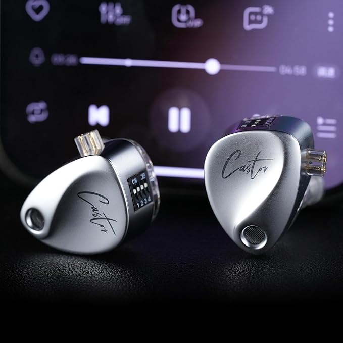 KZ Castor in Ear HiFi Earphone 2DD Dynamic High-end Tunable IEM Earphones in Ear Monitor Headphones with Silicone Tips Detachable Cabel IEMs for Singer Musician DJ On Stage (Silver, Without Mic)