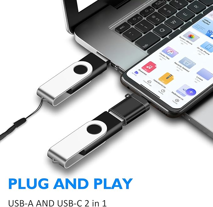 EASTBULL 2Pack of 2GB USB2.0 Flash Drives with 2 Type-C Adapters and Keychains, High Speed USB Drive 2GB 360ｰ Rotatable Swivel Thumb Drives 2GB (2Pcs Black, Keychains, Adapters)