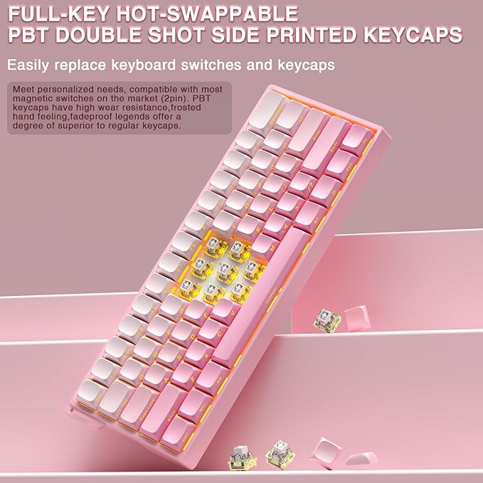 Aula MINI60 HE PRO Wireless Gaming Keyboard 60%,Hall Effect Rapid Trigger Magnetic Keyboard,8000Hz Polling,Tri-Mode(BT5.0/2.4GHz/USB-C),RGB Hot Swappable Compact Pink Mechanical Keyboard for Gamer