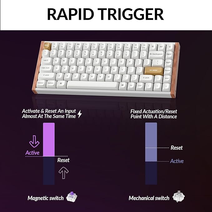 Keychron K2 HE Rapid Trigger Wireless Custom Keyboard with Hall Effect Gateron Double-Rail Magnetic Switch, 2.4 GHz QMK Bluetooth 5.2 RGB Compatible with Mac Windows Linux (Aluminum + Wood)