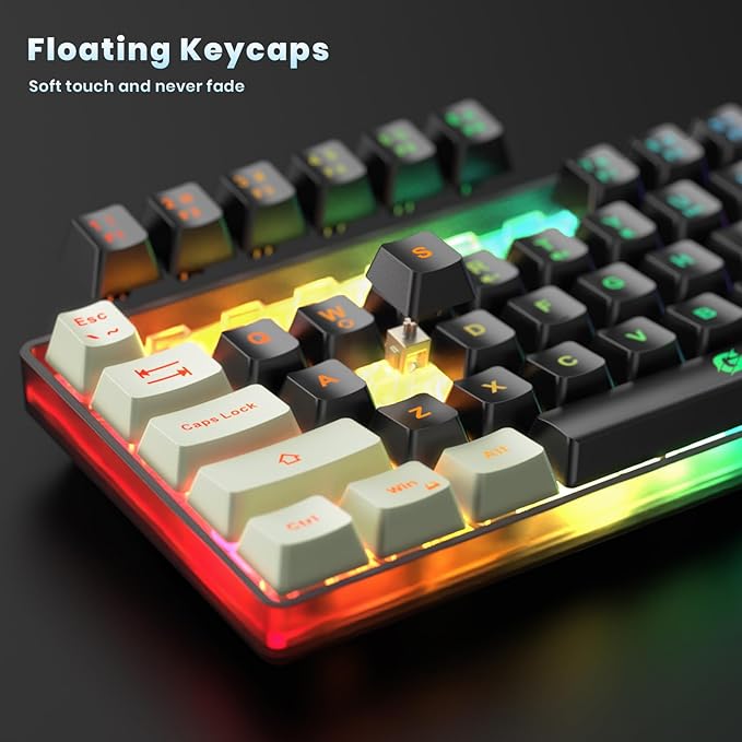 GEODMAER 65% Wireless Gaming Keyboard: LED Backlit, 68 Keys, Ultra-Compact, Anti-ghosting, No-Conflict Wireless Keyboard for PC Laptop Windows Gamer(Black-White)