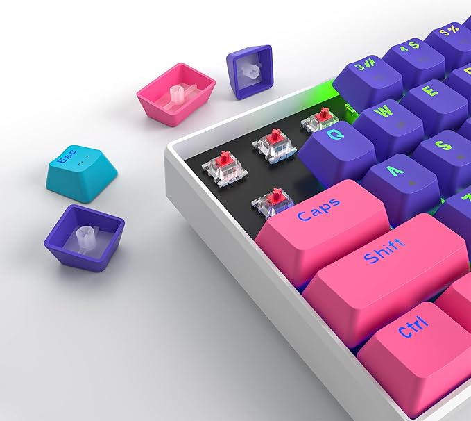 Protable 60% Percent Gaming Keyboard Mechanical, Mini Compact RGB Backlit 61 Keys Wired Office Keyboard with red Switch for Mac/Win (Purple/red Switch)