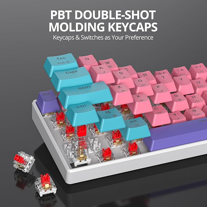 Protable 60% Percent Gaming Keyboard Mechanical, Mini Compact RGB Backlit 61 Keys Wired Office Keyboard with red Switch for Mac/Win (Zhi/red Switch)