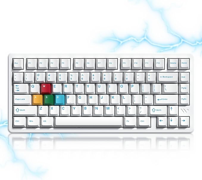 Womier SK75 TMR Keyboard Gaming 75% Hall Effec, Wireless Mechanical Keyboard Rapid Trigger Custom Magnetic Switches Keyboards with 8000 Hz Hot Swap, BT/2.4G/USB-C for Mac Windows Linux,White-Aluminum
