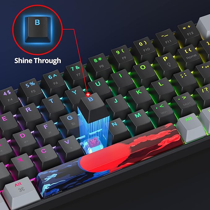 Owpkeenthy Portable 65% Percent Mechanical Gaming Keyboard, Mini Wired Ultra Compact RGB 68 Keys Office Keyboard with Red Switch Backlit for PC/PS5/XBOX(Dark/ 68 Red Switch)