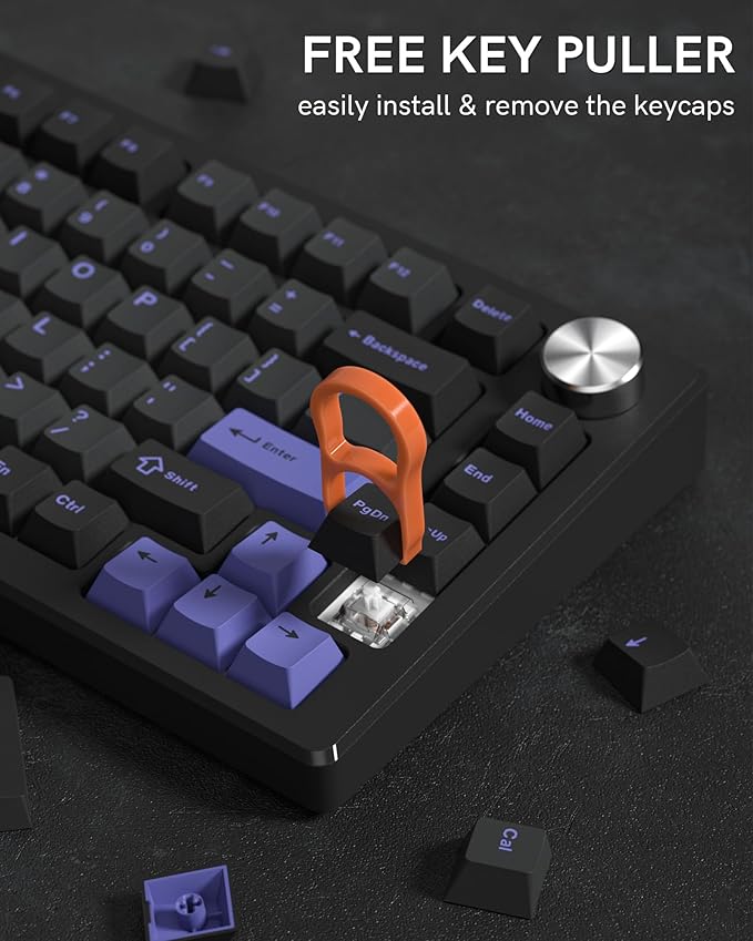 Womier Double Shot PBT Keycaps Set 138 Keys, Cherry Profile Custom Keycaps 60 65 75 100 Percent for 61/64/68/84/87/100/104/108 Retro Gaming Mechanical Keyboard, Black Purple