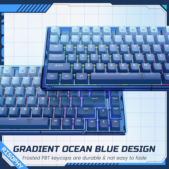 RisoPhy 60 Percent Mechanical Gaming Keyboard - 82 Keys Hot Swappable, Linear Silent Red Switches, Blue PBT Keycaps, Compact Mini RGB Led Backlit Wired, Pro Driver Supported