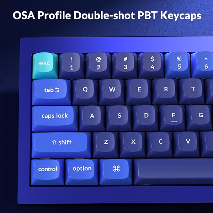 Keychron Q4 Wired Custom Mechanical Keyboard, QMK/VIA Programmable Macro, Full Aluminum, Hot-Swappable Gateron G Pro Blue Switch, 60% Layout Double Gasket Compatible with Mac and Windows - Blue