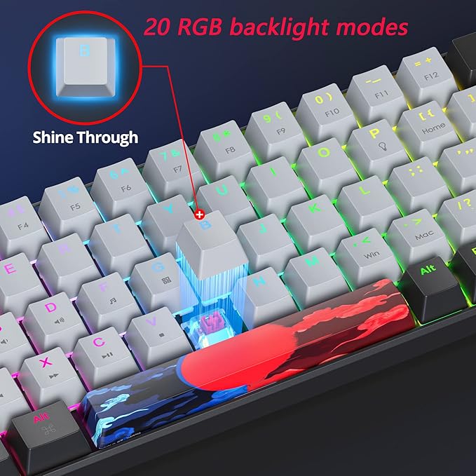 Protable 60% Percent Gaming Keyboard Mechanical, Mini Compact RGB Backlit 68 Keys Wired Office Keyboard with Red Switch for Mac/Win (Dolch/red Switch 68)