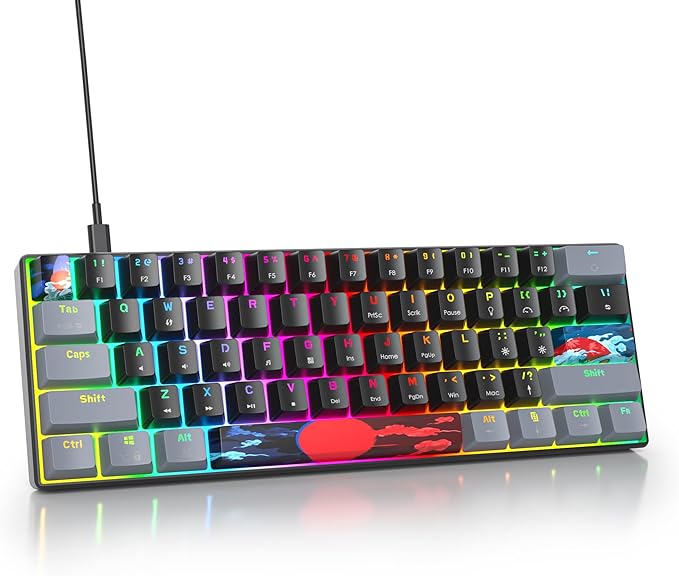 Owpkeenthy Wired 60% Percent Mechanical Gaming Keyboard with Blue Switch Ultra Compact RGB Gaming Keyboard Backlit Keys N-Key Rollover for PC Gamer (Dark/Blue Switch)
