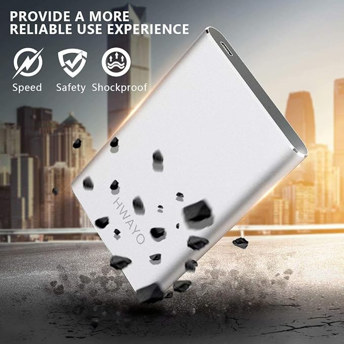 HWAYO 120GB Portable External Hard Drive, USB3.1 Gen 1 Type C Ultra Slim 2.5'' HDD Storage Compatible for PC, Desktop, Laptop, Mac, Xbox One (Silver)