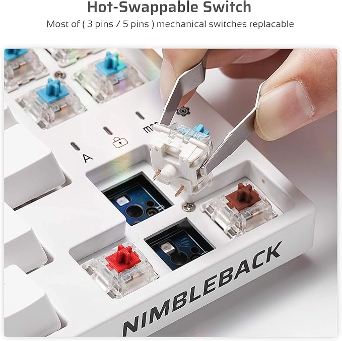 LTC NB681 Nimbleback Wired 65% Mechanical Keyboard, RGB Backlit Ultra-Compact 68 Keys Gaming Keyboard with Hot-Swappable Switch and Stand-Alone Arrow/Control Keys (Hot Swappable Blue Switch, White)