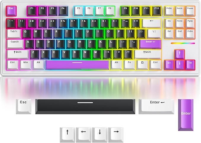 Owpkeenthy 75 Percent Gaming Keyboard Gasket Mounted with Pre-lubed White Switch, 87 Key Wired Mechanical Keyboard Hot Swappable RGB Backlit for MAC Win (R-Purple)