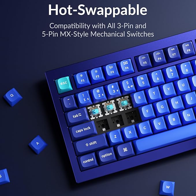 Keychron Q1 RGB Wired Custom Mechanical Keyboard, 75% Layout QMK/VIA Programmable Macro with Hot-swappable Gateron G Pro Blue Switch Double Gasket Compatible with Mac Windows Linux (Blue) -Version 2