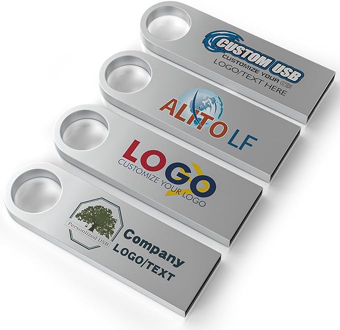 ABLAZE Custom Flash Drive 4GB 10 Pack, Personalized USB with Your Logo Metal Thumb Drives USB 2.0 Memory Stick Pendrive (Sliver)