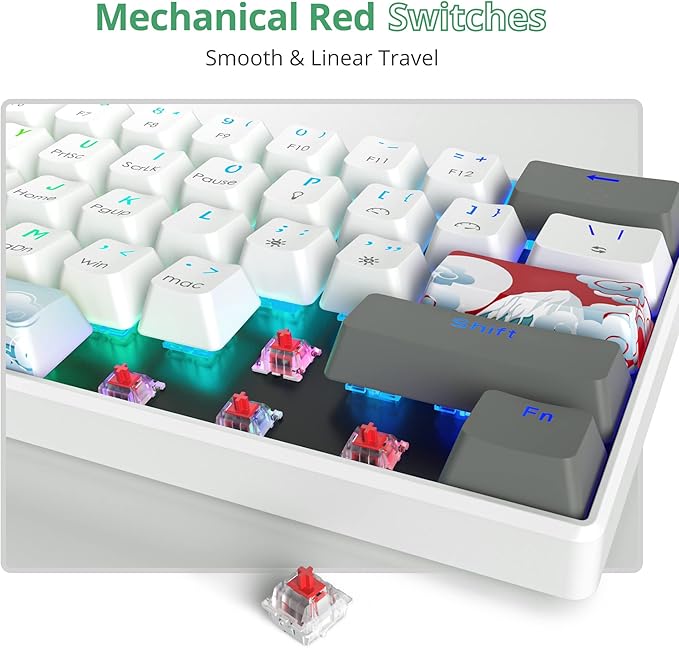 Owpkeenthy RGB Mechanical Keyboard 60 Percent Red Switches, Ultra-Compact Mini Wired Gaming Keybaord with Backlit PBT Dye-Sub Keycaps for Win/Mac/PC (White/Red Switch)