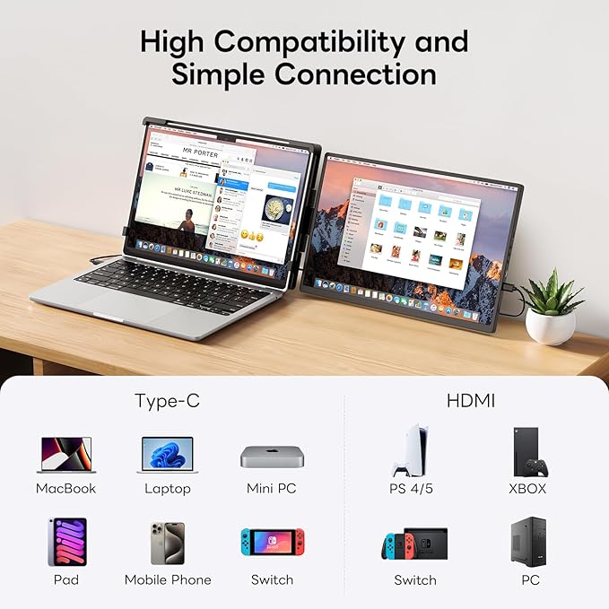 Portable Monitor for Laptop (14.1 Dual)