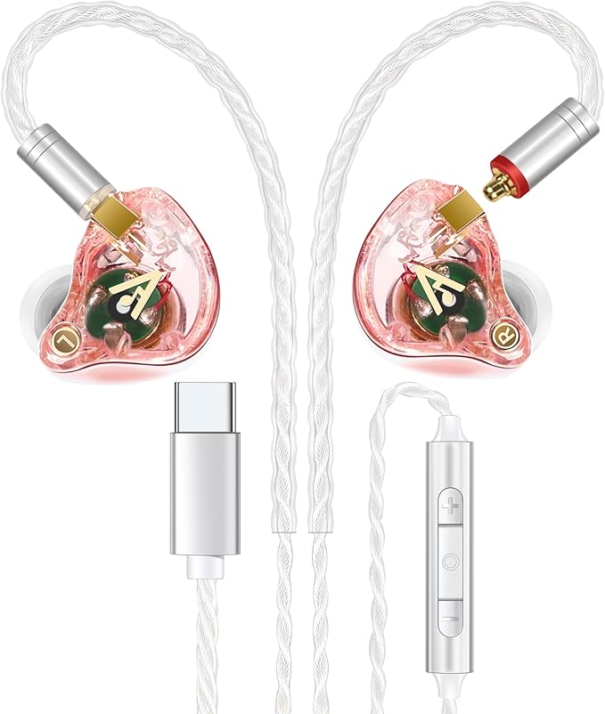 Vibes 202MC USB-C Wired Earbuds - USBC HiFi in Ear Headphones for iPhone 17/16/15 - Noise Isolating Ear Buds w/ Mic - Clear Sound, Deep Bass & Comfort-Fit Earphones - Silver Plated Cord, Carrying Case