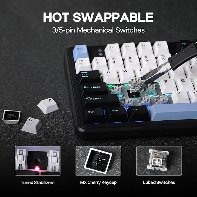 EPOMAKER Aula F108 Wireless Gaming Keyboard, Full Size Mechanical Keyboard with 4000mAh Battery, 108 Hot-Swappable and Programmable Keys, RGB Backlight, for Mac/PC/Android (Blue&White&Black)