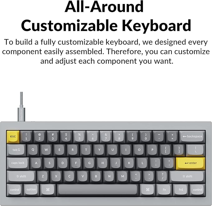 Keychron Q4 Wired Custom Mechanical Keyboard, QMK/VIA Programmable Macro, Full Aluminum, Hot-Swappable Gateron G Pro Red Switch, 60% Layout Double Gasket Compatible with Mac and Windows - Blue