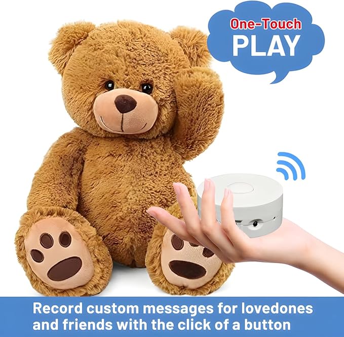 16 Minutes Voice Recorder, Record Custom Message for Crafts, Stuffed Bear, Baby Doll, and Pillow