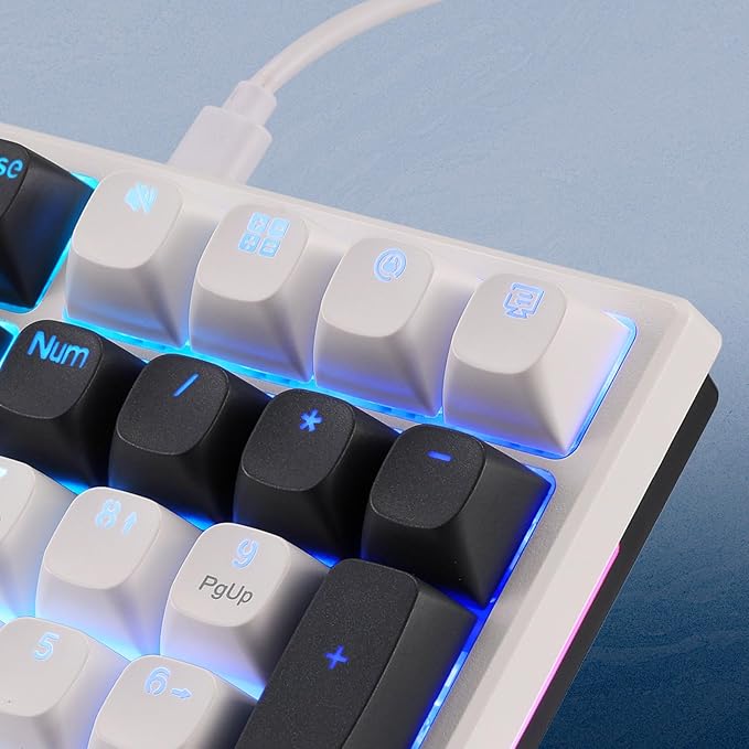 Redragon K668 Wired Gasket RGB Gaming Keyboard, 108 Keys Mechanical Keyboard w/Extra 4 Hotkeys, Upgraded Hot-swappable Socket, Sound Absorbing Foam, Mixed Color Keycaps, Custom Linear Switch