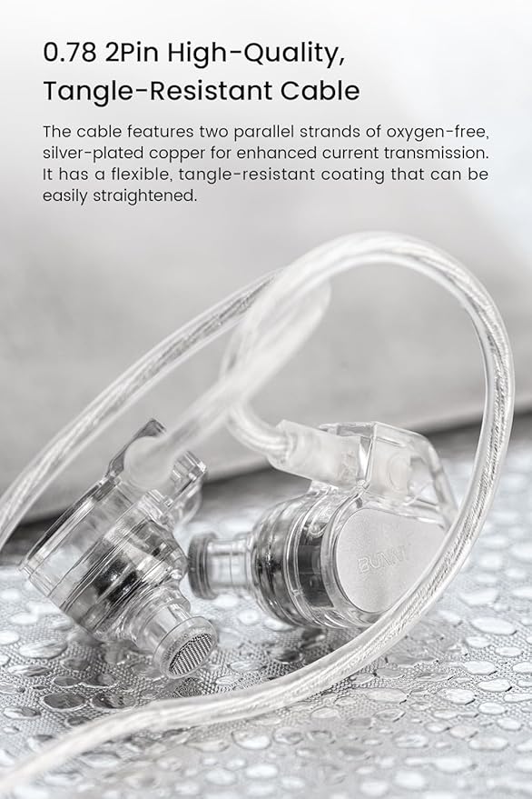 Bunny Gaming Earphones with Single Dynamic Dual-Chamber Driver, Wired Earbuds IEM, 1DD 0.78 2pin Monitor with Bass Boot Maze Cavity, Entry-Level HiFi in-Ear Headphones with Mic - USB Type C