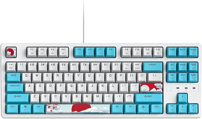 75 Percent Mechanical Keyboard, 87 Keys RGB Backlit Gaming Keyboard, TKL Compact Wired Keyboard with Red Switches for Windows Laptop PC PS4 PS5 Xbox Gamer (87 Sea/Red Switch)