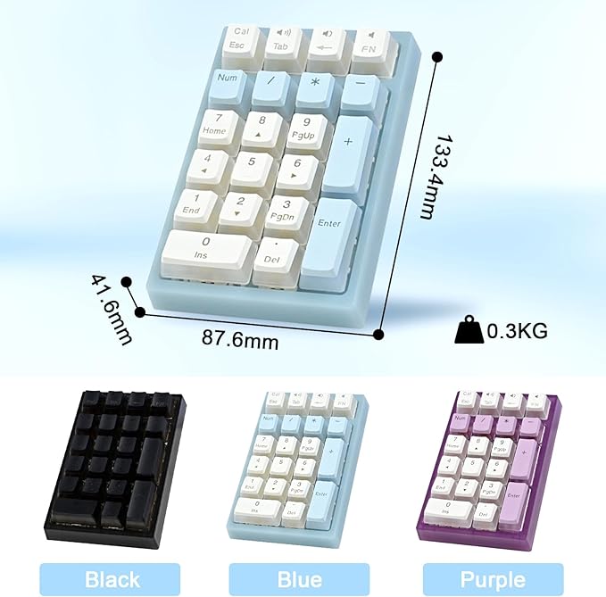 BOYI TD21 HotSwap Mechanical Numeric Keypads,21 Keys Mini Numpad Portable Keypad BT5.0/2.4G/Wired Keyboard RGB Number Pad Wireless Numeric Keypad(Purple Color with OEM Profile Pudding Keycaps)