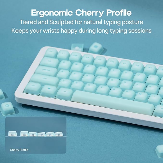 EPOMAKER AegisSil Keycap Set, Silicone Material, Cherry Profile, 113 Keys, 65%/75%/96%/Full Size, Custom Keyboard Keycaps Set for Cherry MX, Kailh, Outemu, Gateron Mechanical Gaming Keyboard (Blue)