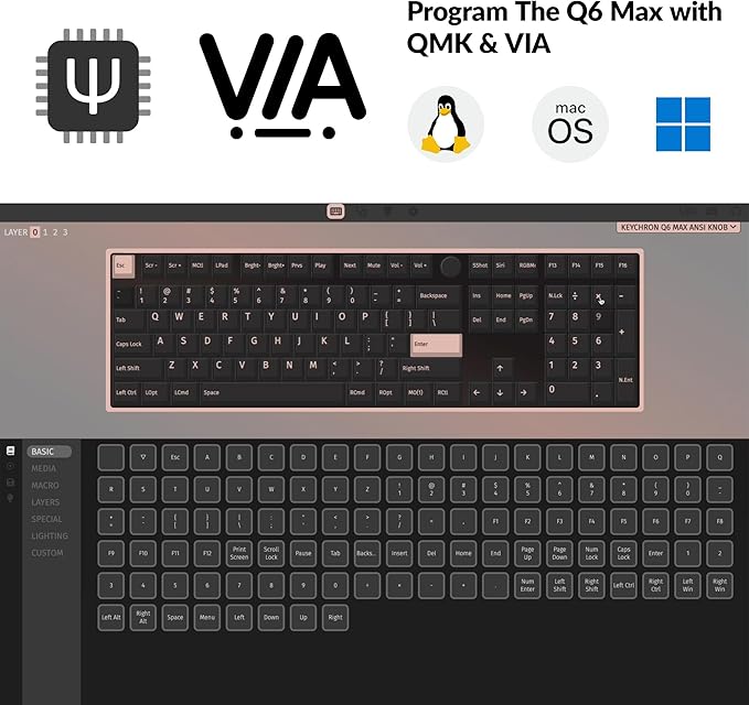 Keychron Q6 Max QMK/VIA Bluetooth Wireless /2.4 GHz/USB-C Wired Custom Mechanical Keyboard, Full Size Programmable Knob RGB Backlit Hot-Swappable Gateron Brown Switch for Mac Windows Linux - Black