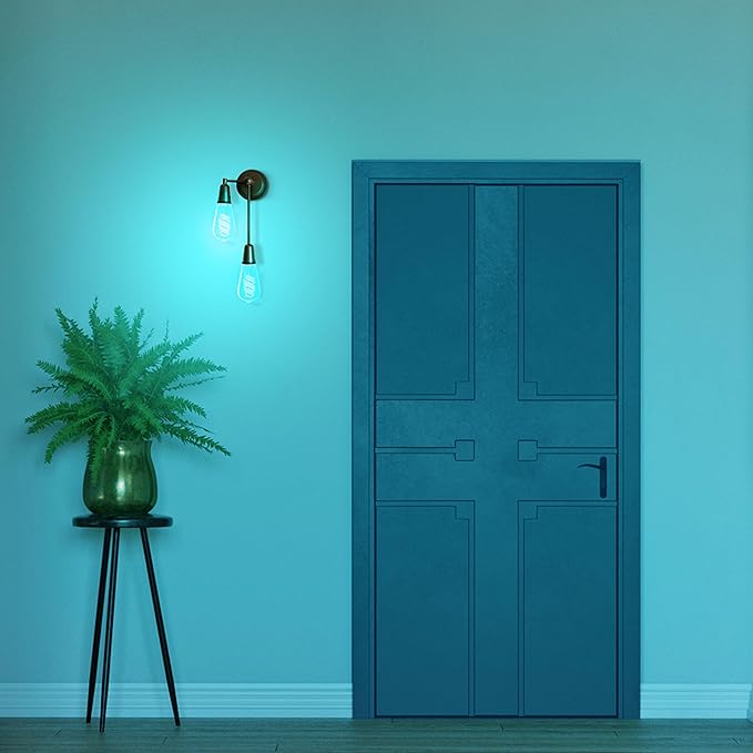 Feit Electric Smart ST21 Light Bulb, 60W Eq, Dimmable, Spiral Filament Edison Style. WiFi Enabled, Works with Alexa/Google Home, Millions of Colors, 15,000-Hr. Lifetime, ST2160RGBWFILAG/RP/3, 3 Pack
