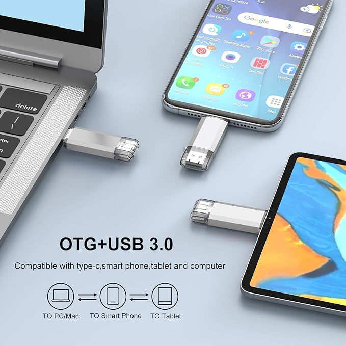 RAOYI 512GB USB C Flash Drive, 2 in 1 USB 3.0 Type C Dual OTG Metal Thumb Drive Jump Drive Memory Stick with Keychain Suitable for USB-C Smartphones, MacBook, Computers and Tablets (Silver)