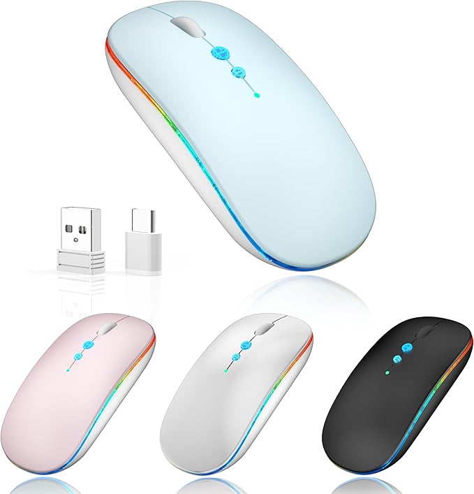 Halpilt LED Wireless Mouse A100S Rechargeable Portable Silent Mouse with Optional USB and Type-C Receiver 3-Speed Adjustable DPI for PC/Mac/Laptop (Frosted Blue)