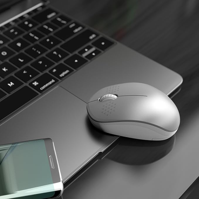 seenda Wireless Mouse for Laptop, 2.4G Noiseless Mouse with USB Receiver - Optical Tracking Portable Computer Mice for Chromebook, PC, Tablet, Windows System, 24 Months Battery Life (White & Silver)