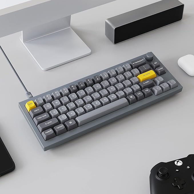 Keychron Q2 Wired Custom Mechanical Keyboard Knob Version, 65% Layout QMK/VIA Programmable Macro with Hot-swappable Gateron G Pro Blue Switch Double Gasket Compatible with Mac Windows Linux (Grey)