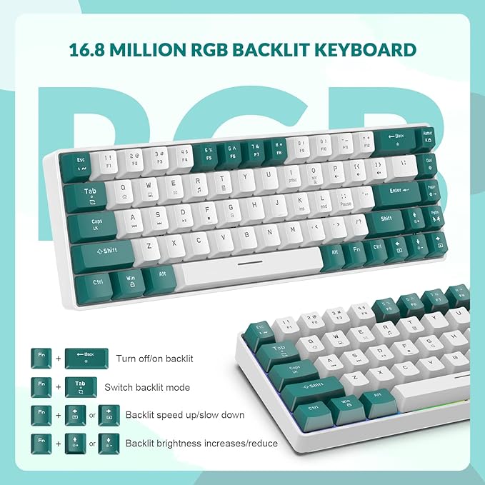 ZIYOU LANG RK-T8 Wired 65% Mechanical Gaming Keyboard with RGB LED Backlit Anti-ghosting TKL Mini 68 Key Custom Coiled C to A Cable Tactile Blue Switch for PS4 PS5 Xbox PC Mac Gamer(Green/White)