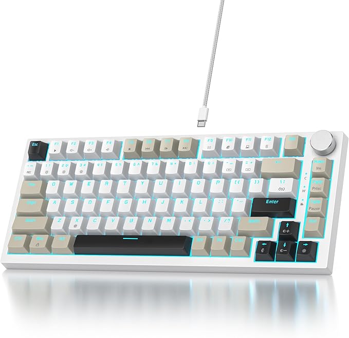 Owpkeenthy 75% Keyboard, 82 Key Gasket Mounted Mechanical Gaming, Wired RGB Backlit NKRO Compact Hot Swappable Keyboard with Volume Knob for PC Laptop (82 Gray White)