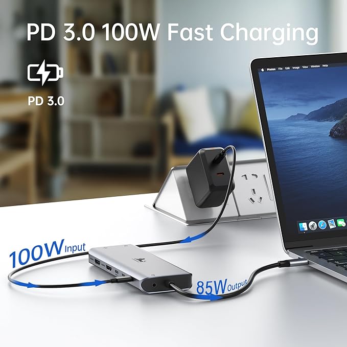 LIONWEI Laptop Docking Station 13 in 1 - Dual HDMI+DisplayPort+10Gbps, 6 USB C/A, 100W PD, Ethernet, SD/TF, Audio, USB C Hub for MacBook/Dell/HP/Surface