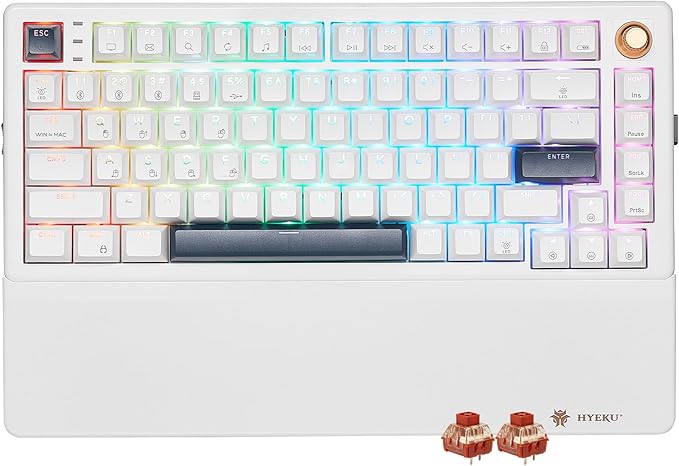 Wireless Mechanical Keyboard with Knob & Wrist Rest, Hot Swap Gasket Custom Structure, Creamy Pre-lubed Tactile Switches, RGB Backlit, Bluetooth/Type-C/2.4G Gaming Keyboard for Win/Mac (White)