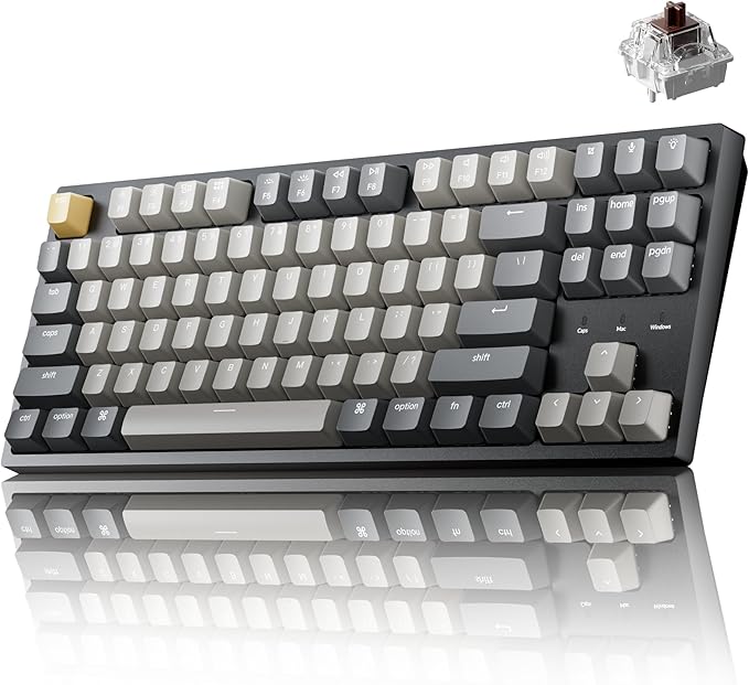 Keychron C1 Pro Wired Custom Mechanical Keyboard, TKL Layout QMK/VIA Programmable OEM Profile Double-Shot PBT Keycaps White LED Backlight with K Pro Brown Switch for Mac Windows Linux