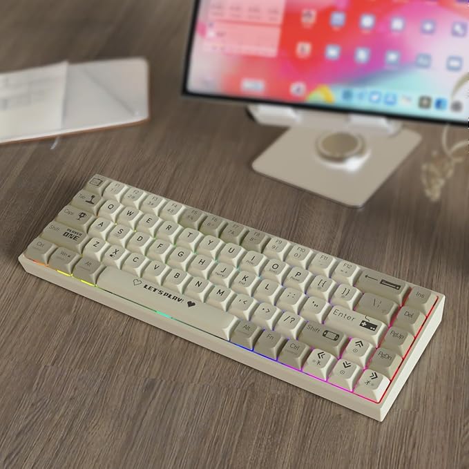 AK680 Wired Compact Mechanical Keyboard, 68 Keys Grey-White Layout, Hot-Swappable Tactile Brown Switch Gaming Keyboard with Multicolor Backlight, Eva Foam Dampening, for Gaming & Typing