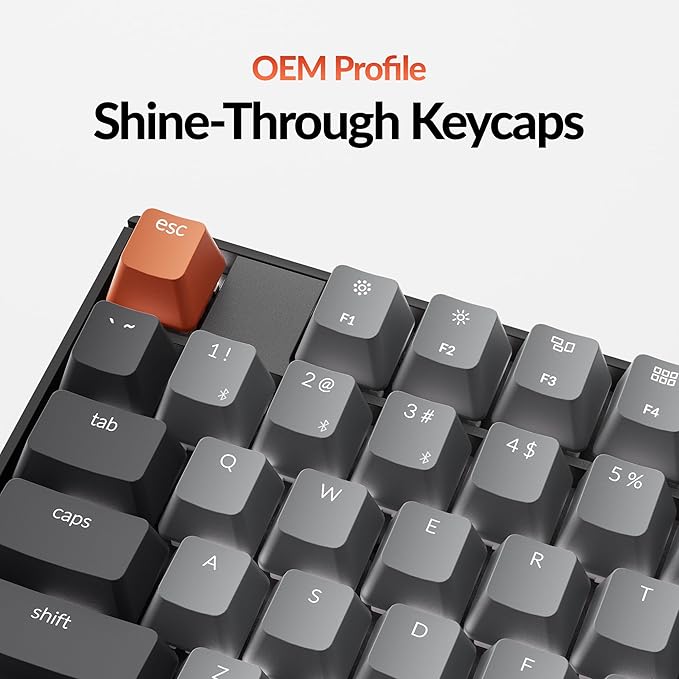 Keychron K10 Full Size 104 Keys Bluetooth Wireless Mechanical Gaming Keyboard for Mac Windows with Keychron Silent K Pro Red Switch, Multitasking/White LED Backlight/USB C Wired Computer Keyboard
