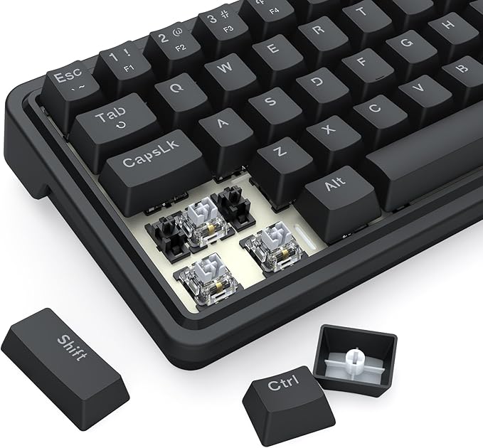 Redragon K722 60% Wired Gasket RGB Gaming Keyboard, 61 Keys Hot-Swap Compact Mechanical Keyboard w/Free-Mod Socket, 3-Layer Noise Dampening, Quiet Custom Linear Switch