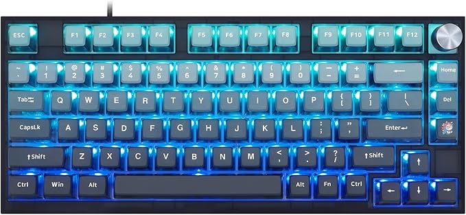 MOLGRIA SKYLOONG GK75 Blue Backlit Gaming Keyboard with Side Transparent Pudding Keycaps, Hot Swappable Yellow Mechinery Switches, Type C Wired Knob Mechanical Keyboard for Win/Mac OS