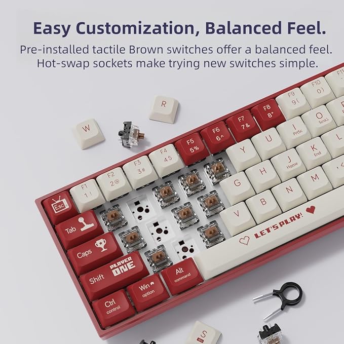 AK680 Wired Compact Mechanical Keyboard, 68 Keys Red-White Layout, Hot-Swappable Tactile Brown Switch Gaming Keyboard with Multicolor Backlight, Eva Foam Dampening, for Gaming & Typing