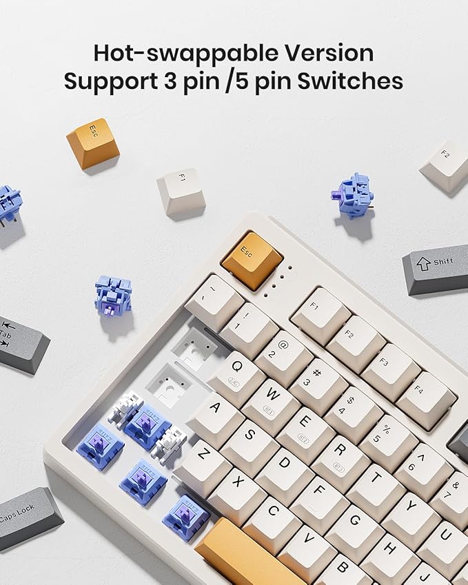 Kisnt KN104 Wireless Mechanical Gaming Keyboard, 100% Full Size 104 Keys with Number Pad, Custom RGB Backlit, Creamy Sound, Hot Swappable, Bluetooth/2.4GHz/USB-C for Win/Mac/PC (Retro Beige)